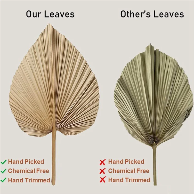 ARULA™ Natürliche getrocknete Palmblätter – 4er-Set