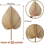 ARULA™ Natürliche getrocknete Palmblätter – 4er-Set