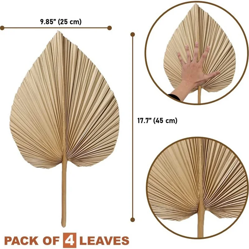 ARULA™ Natürliche getrocknete Palmblätter – 4er-Set